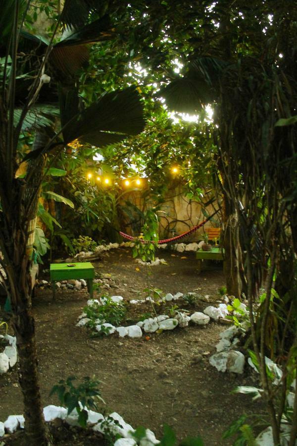 Ciao Cacao Hostel & Vegan Cafe Flores Exterior photo